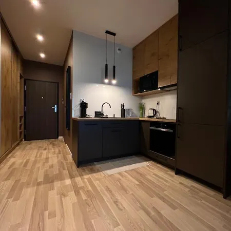 Vistula Terraces 10Th Floor Apartment Krakow Exterior photo